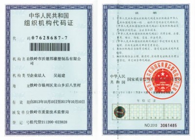 Organization Code Certificate